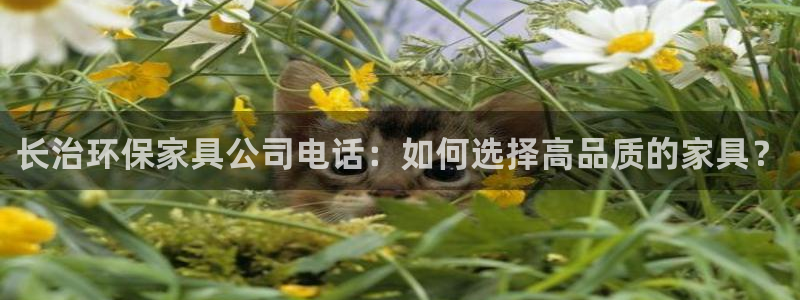 沐鸣2注册登录官网：长治环保家具公司电话：如何选择高品质的家