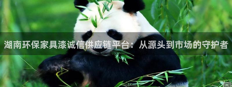 沐鸣2平台官方网站下载：湖南环保家具漆诚信供应链平台：从源头