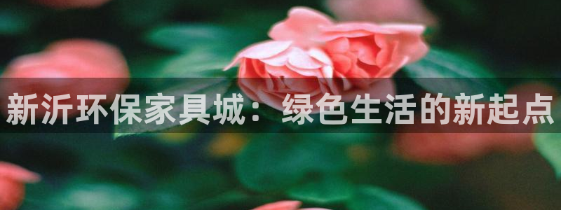 沐鸣2官网app：新沂环保家具城：绿色生活的新起点
